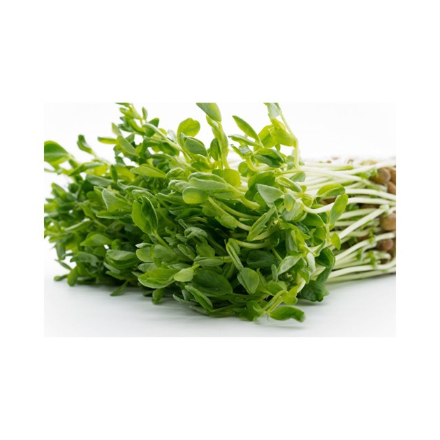 Ärtskott påse 250g