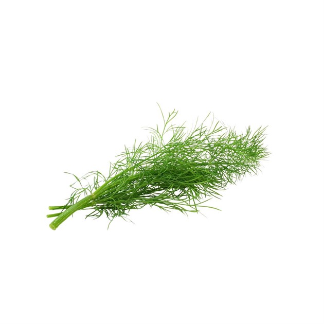 Dill knippe ca 150g