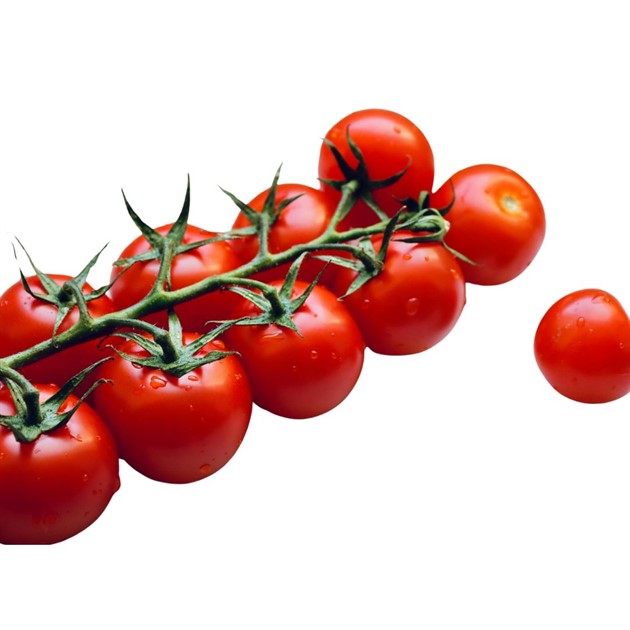 Tomat Piccadilly IT kg