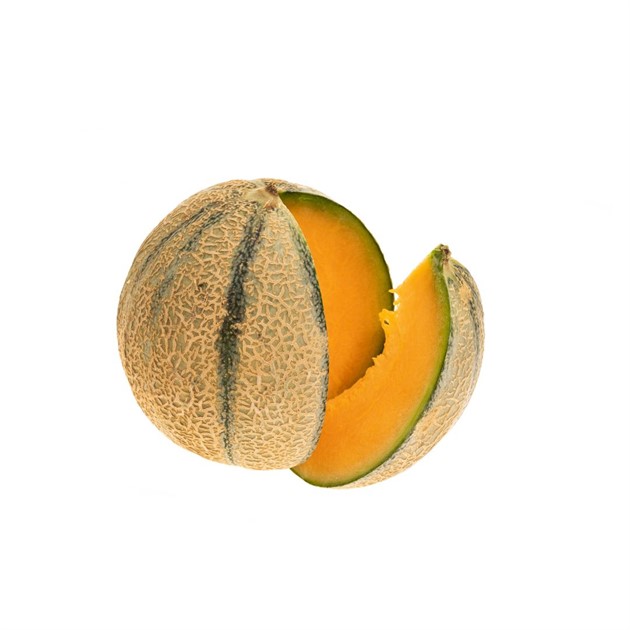 Melon Kantaloup kg