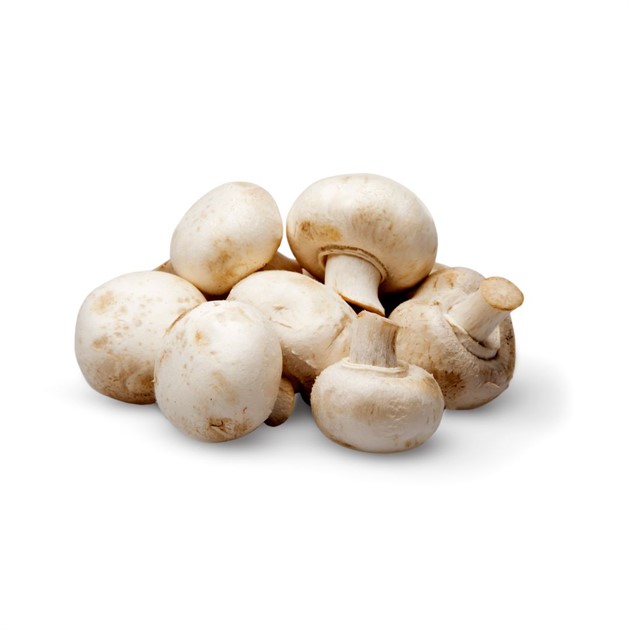 Svamp Champinjon vit 3 kg/låda