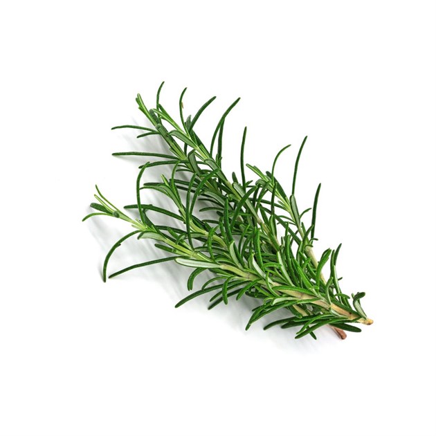 Rosmarin färsk kg