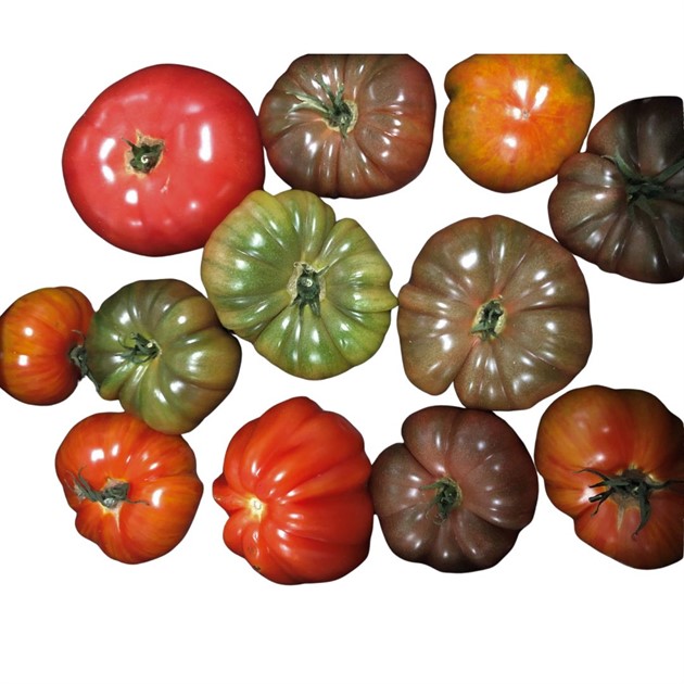 Tomat stor Vildmix kg