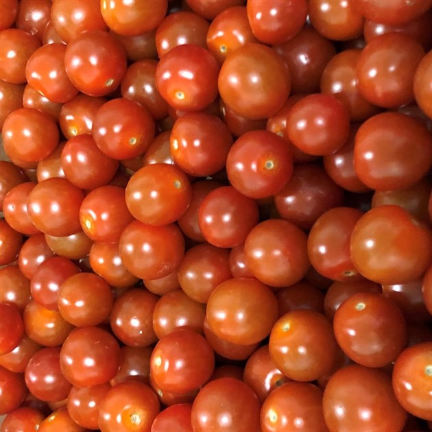 Tomat Cocktail röd kg