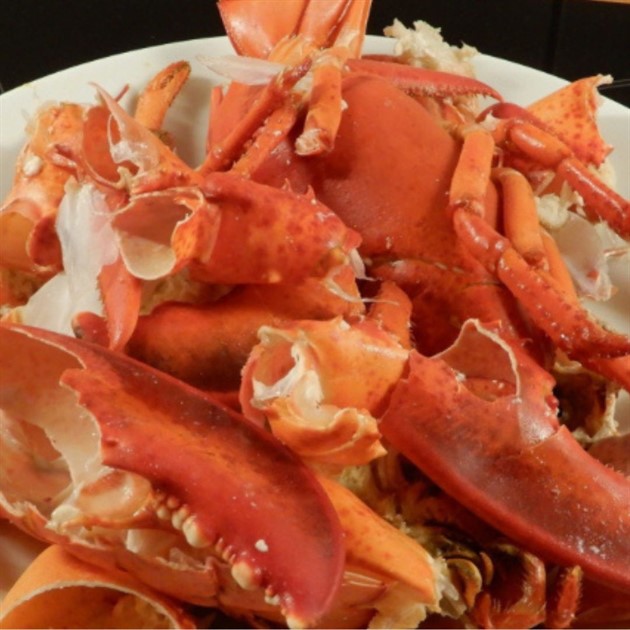 Hummerskal Kropp rå 11,34 kg