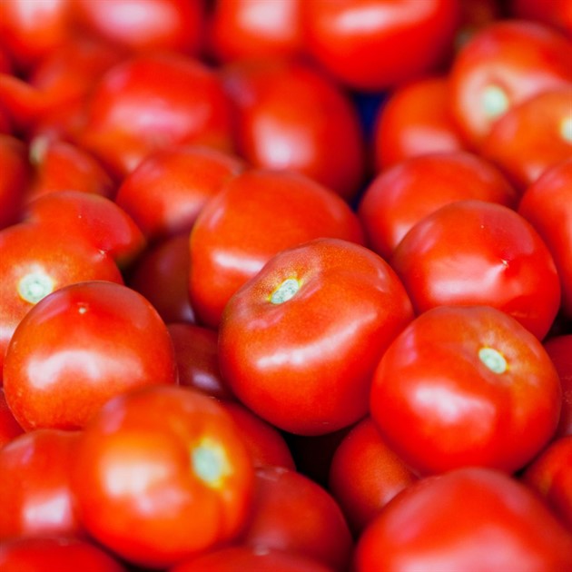 Tomat röd kg