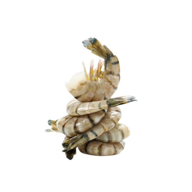 Räkor Vannamei 16/20 m skal Frysta 1 kg