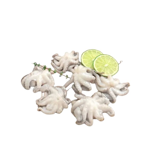 Bläckfisk Baby octopus 61/up 800g